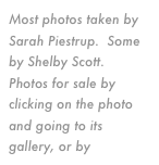 Most photos taken by Sarah Piestrup.  Some by Shelby Scott.  Photos for sale by clicking on the photo and going to its gallery, or by email.